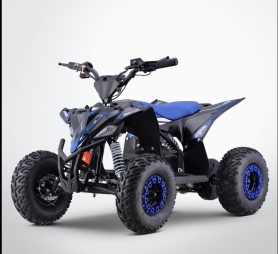 Quad ECO (électriques) 